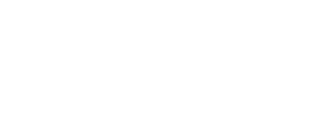 Logo nFlo